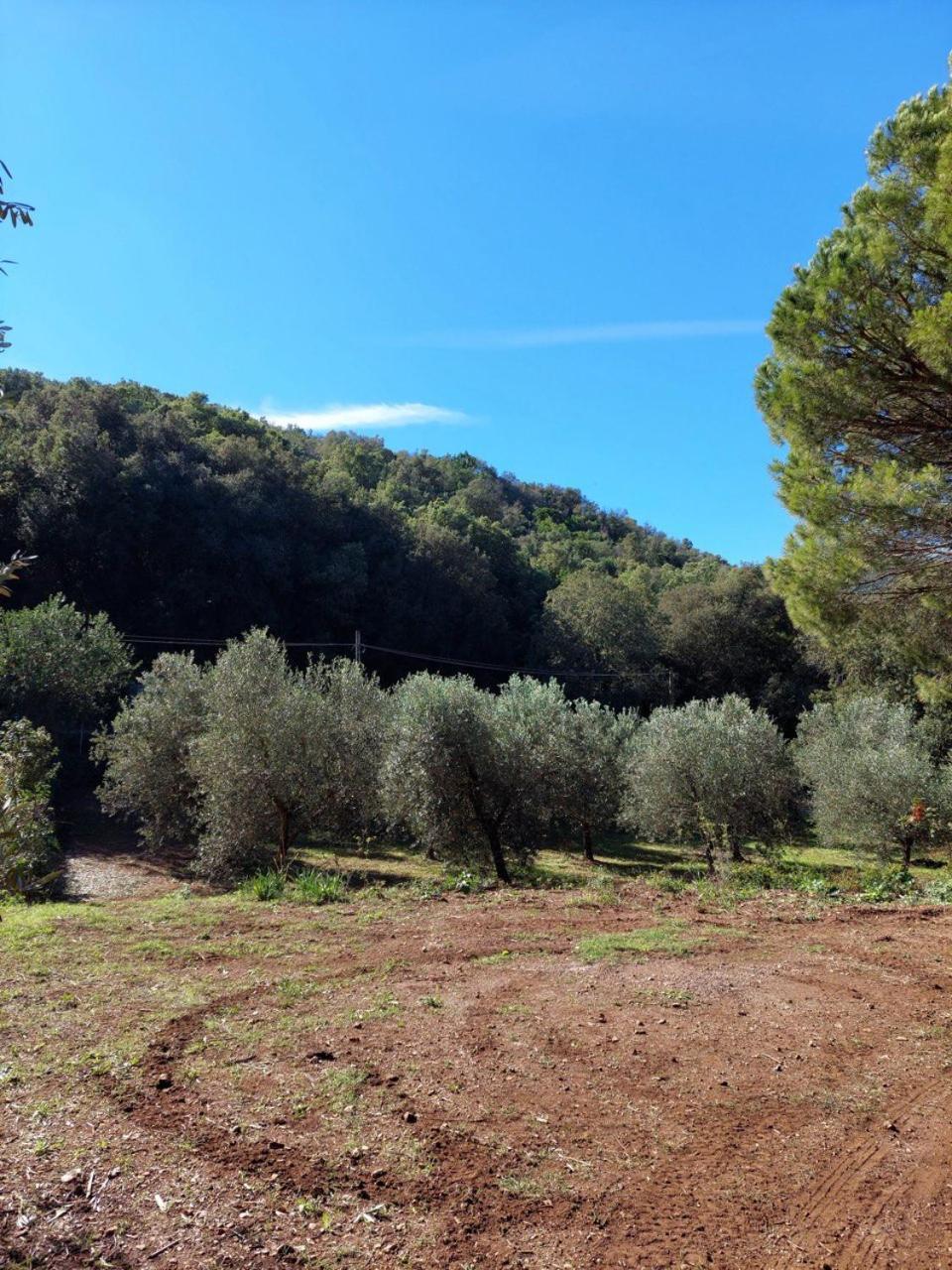 Agriturismo Paradisa Rio dellʼElba Exteriör bild