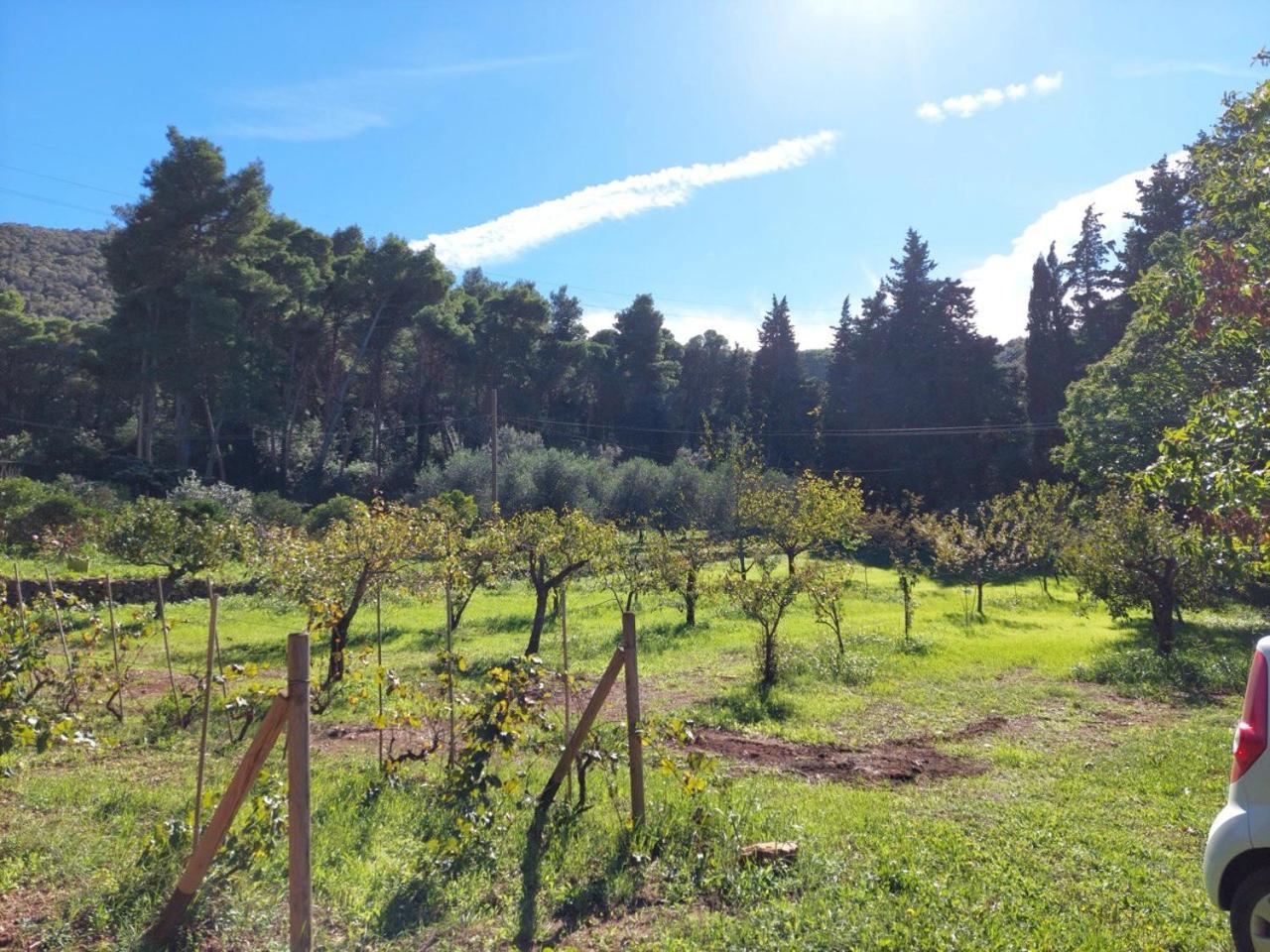 Agriturismo Paradisa Rio dellʼElba Exteriör bild