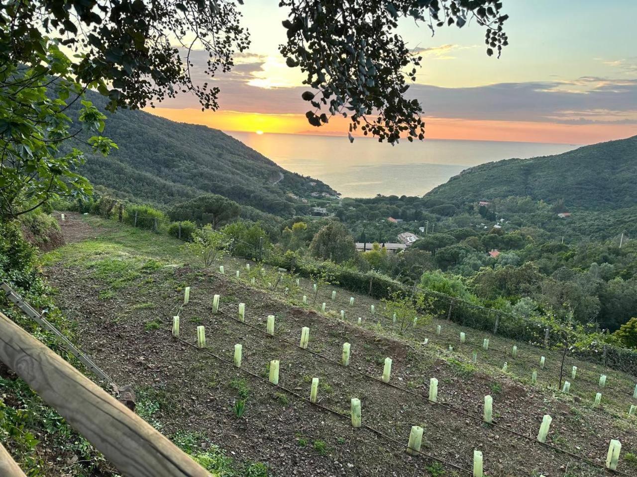 Agriturismo Paradisa Rio dellʼElba Exteriör bild